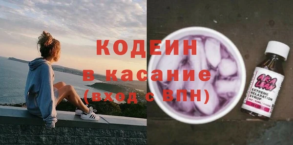 эйфоретик Гусь-Хрустальный