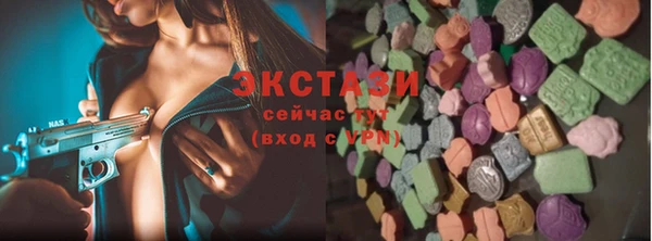 эйфоретик Гусь-Хрустальный