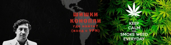 эйфоретик Гусь-Хрустальный