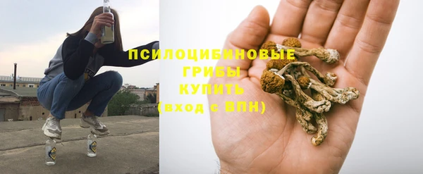 ALPHA PVP Нефтекумск