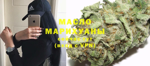 эйфоретик Гусь-Хрустальный