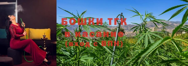 эйфоретик Гусь-Хрустальный