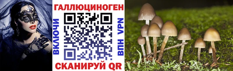 Псилоцибиновые грибы GOLDEN TEACHER Няндома